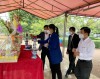TuongNiemBinhAn280222 01