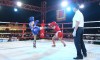 GiaiKickBoxing2024