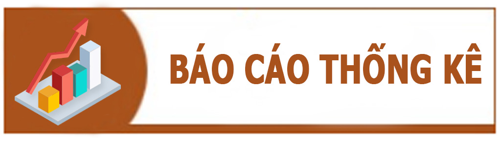 Báo cáo thống kê