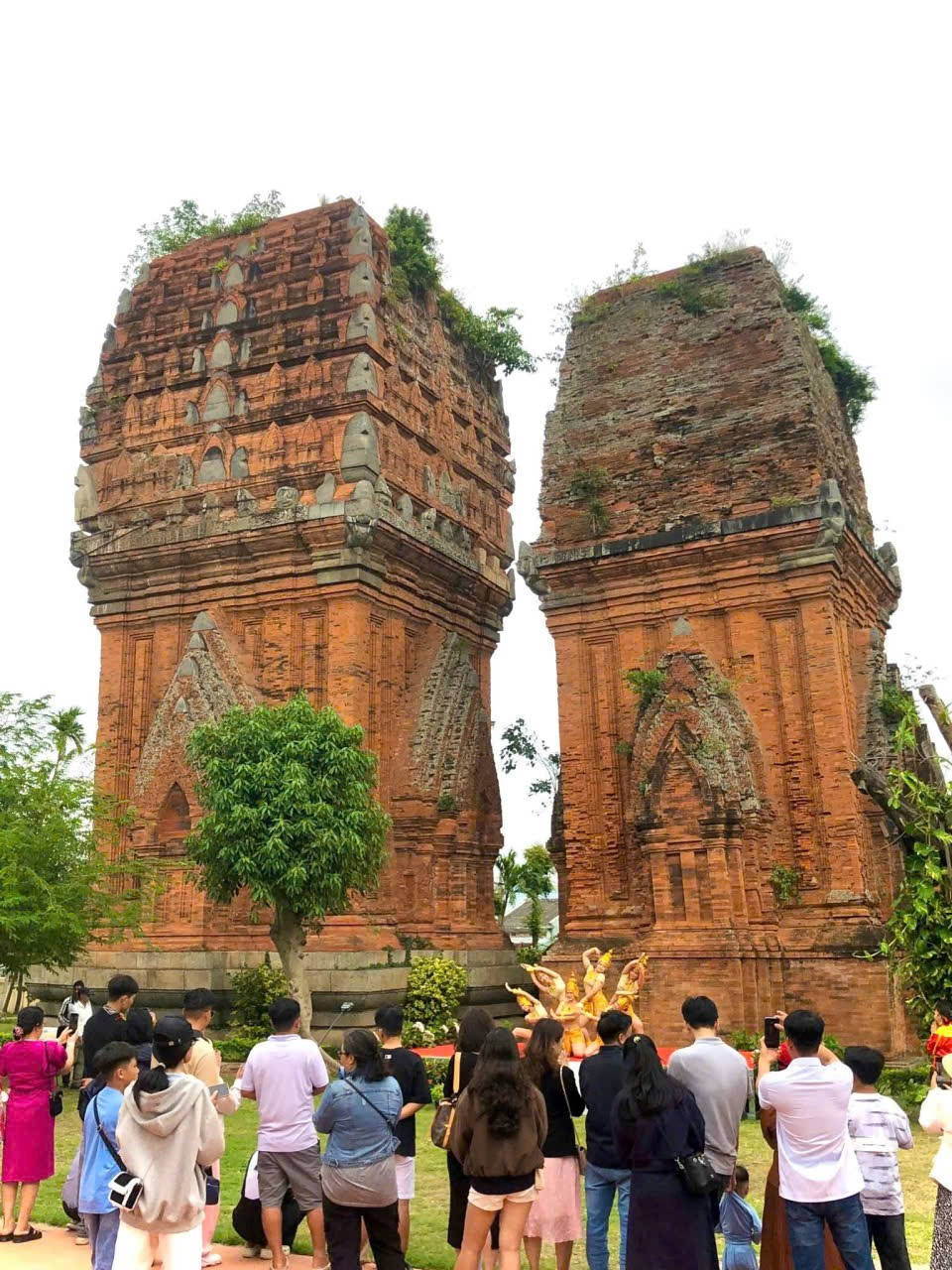DlichGL TetNguyenDang2026 03